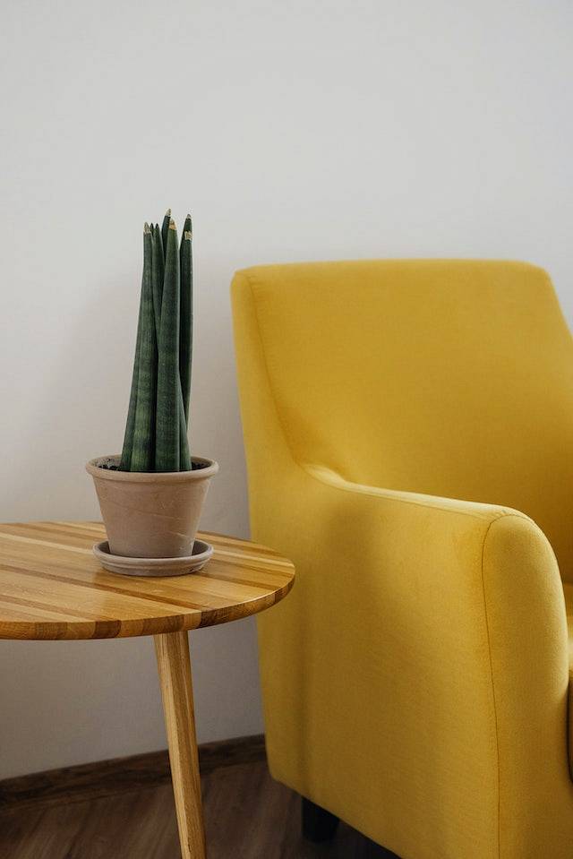 Żółty fotel stoi obok drewnianego stolika na którym jest kwiatek